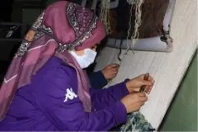 Çekirdekten başladığı işinde 3'üncü şubesini açtı, 50 kadına istihdam sağladı Çekirdekten başladığı işinde 3'üncü şubesini açtı, 50 kadına istihdam sağladı