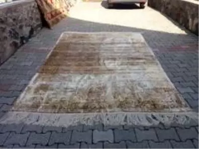 Çekirdekten başladığı işinde 3'üncü şubesini açtı, 50 kadına istihdam sağladı Çekirdekten başladığı işinde 3'üncü şubesini açtı, 50 kadına istihdam sağladı