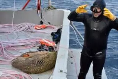Muğla'da kaçak deniz patlıcanı avcılığına yönelik denetimler Muğla'da kaçak deniz patlıcanı avcılığına yönelik denetimler