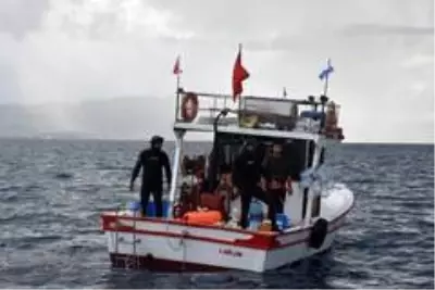 Muğla'da kaçak deniz patlıcanı avcılığına yönelik denetimler Muğla'da kaçak deniz patlıcanı avcılığına yönelik denetimler