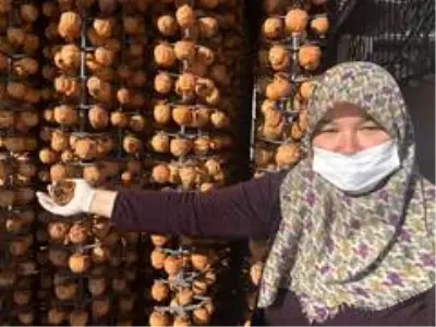 Eşinin çamaşır kuruttuğu ipte hurma kuruttu hem kendisinin hem de mahallelinin hayatı değişti Eşinin çamaşır kuruttuğu ipte hurma kuruttu hem kendisinin hem de mahallelinin hayatı değişti