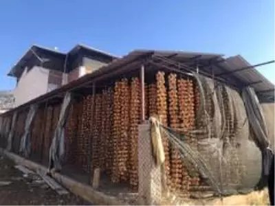 Eşinin çamaşır kuruttuğu ipte hurma kuruttu hem kendisinin hem de mahallelinin hayatı değişti Eşinin çamaşır kuruttuğu ipte hurma kuruttu hem kendisinin hem de mahallelinin hayatı değişti