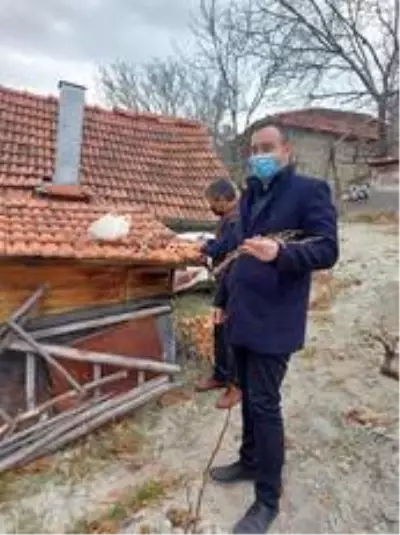 Gediz'de yerel üzümlerin gen kaynaklarının korunması için çalışma başlatıldı Gediz'de yerel üzümlerin gen kaynaklarının korunması için çalışma başlatıldı