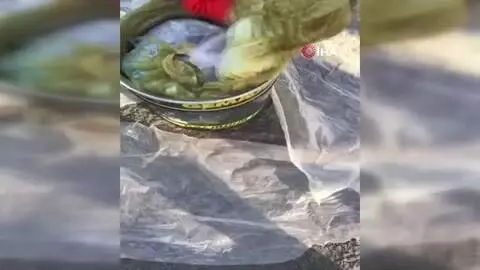 Gübrelerin altına gizlenmiş vaziyette 330 adet gümrük kaçağı cep telefonu ele geçirildi Gübrelerin altına gizlenmiş vaziyette 330 adet gümrük kaçağı cep telefonu ele geçirildi