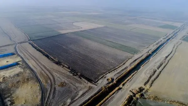 Konya Ovası'nda kuraklık alarmı! Yağışlar olmazsa 2021'de kayıplar yaşanacak Konya Ovası'nda kuraklık alarmı! Yağışlar olmazsa 2021'de kayıplar yaşanacak