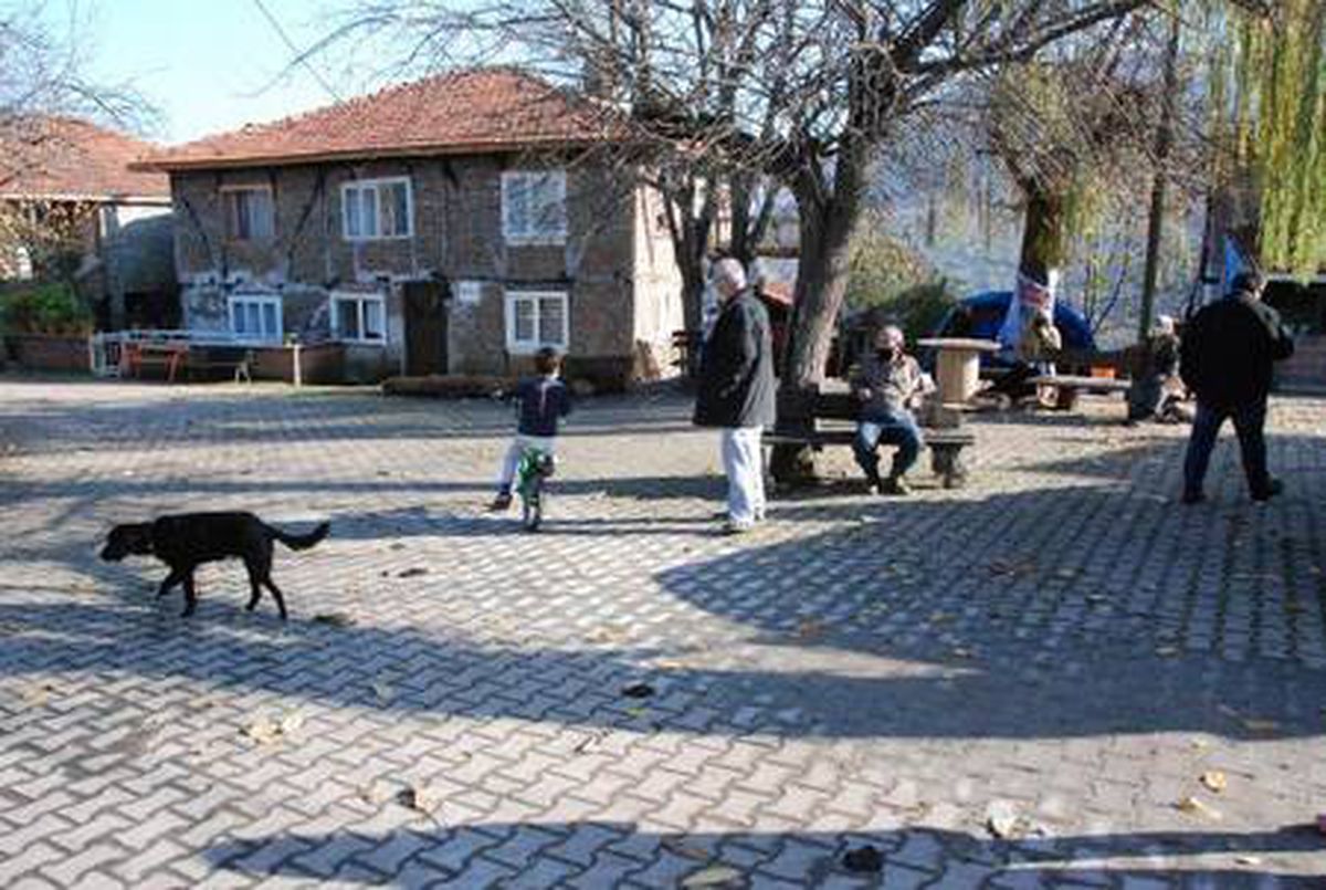 Bu köyde koronavirüs hiç görülmedi! Türkiye'nin dört bir yanından arsa ve ev almak için muhtarı arıyorlar