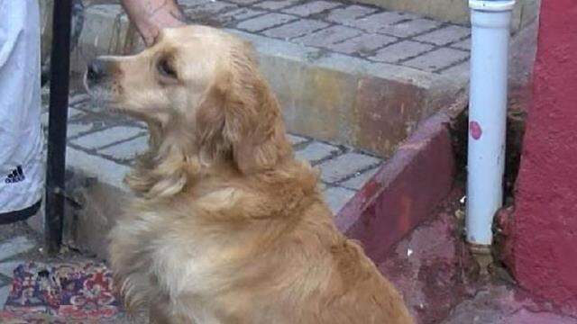 'Prenses'in son anda kurtarıldığı yangın için aile fertleri birbirini suçladı
