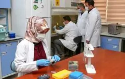 Yeni bakteri cinsi ve türü keşfedildi Yeni bakteri cinsi ve türü keşfedildi