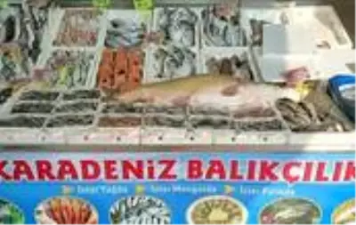 Atatürk Barajında yine dev turna balığı yakalandı Atatürk Barajında yine dev turna balığı yakalandı