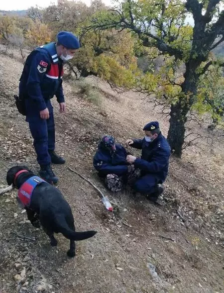 Ayvacık'ta kaybolan 83 yaşındaki kadın jandarma tarafından sağ bulundu Ayvacık'ta kaybolan 83 yaşındaki kadın jandarma tarafından sağ bulundu
