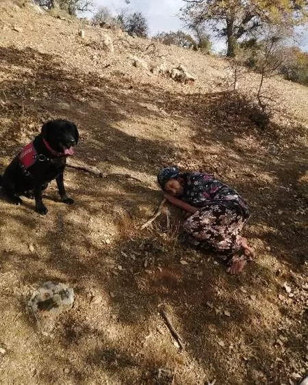 Ayvacık'ta kaybolan 83 yaşındaki kadın jandarma tarafından sağ bulundu Ayvacık'ta kaybolan 83 yaşındaki kadın jandarma tarafından sağ bulundu