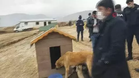 Bu ilçenin yöneticileri sokak hayvanları için seferber oldu Bu ilçenin yöneticileri sokak hayvanları için seferber oldu