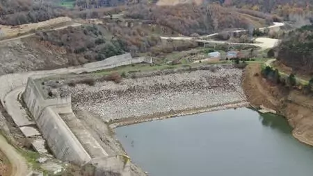 Büyükçekmece, Kazandere ve Papuçdere barajlarında korkutan görüntü; Artık koyunlar otluyor Büyükçekmece, Kazandere ve Papuçdere barajlarında korkutan görüntü; Artık koyunlar otluyor
