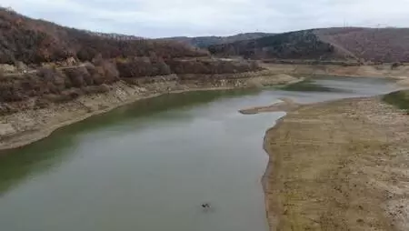 Büyükçekmece, Kazandere ve Papuçdere barajlarında korkutan görüntü; Artık koyunlar otluyor Büyükçekmece, Kazandere ve Papuçdere barajlarında korkutan görüntü; Artık koyunlar otluyor