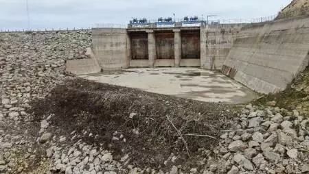 Büyükçekmece, Kazandere ve Papuçdere barajlarında korkutan görüntü; Artık koyunlar otluyor Büyükçekmece, Kazandere ve Papuçdere barajlarında korkutan görüntü; Artık koyunlar otluyor