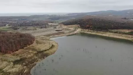 Büyükçekmece, Kazandere ve Papuçdere barajlarında korkutan görüntü; Artık koyunlar otluyor Büyükçekmece, Kazandere ve Papuçdere barajlarında korkutan görüntü; Artık koyunlar otluyor