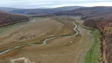Büyükçekmece, Kazandere ve Papuçdere barajlarında korkutan görüntü; Artık koyunlar otluyor Büyükçekmece, Kazandere ve Papuçdere barajlarında korkutan görüntü; Artık koyunlar otluyor