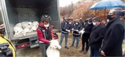 Çorum'da ele geçirilen 321 kilo uyuşturucu madde imha edildi Çorum'da ele geçirilen 321 kilo uyuşturucu madde imha edildi