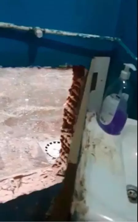 Son dakika gündem: Gizli geçitle girilen iş yerinde kumar oynarken yakalandılar Son dakika gündem: Gizli geçitle girilen iş yerinde kumar oynarken yakalandılar
