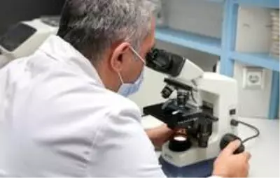 İnsan sağlığı için zararlı olmayan yeni bakteri cinsi ve türü keşfedildi İnsan sağlığı için zararlı olmayan yeni bakteri cinsi ve türü keşfedildi