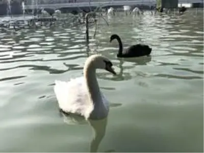 Konya'da Aralık ayında güneşli hava keyfi Konya'da Aralık ayında güneşli hava keyfi