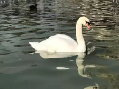 Konya'da Aralık ayında güneşli hava keyfi Konya'da Aralık ayında güneşli hava keyfi