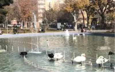 Konya'da Aralık ayında güneşli hava keyfi Konya'da Aralık ayında güneşli hava keyfi