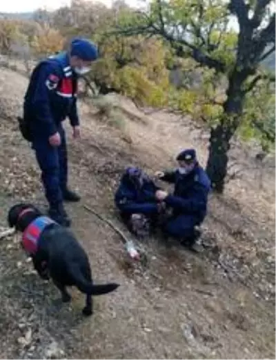 Ayvacık'ta kaybolan 83 yaşındaki kadın jandarma tarafından sağ bulundu Ayvacık'ta kaybolan 83 yaşındaki kadın jandarma tarafından sağ bulundu