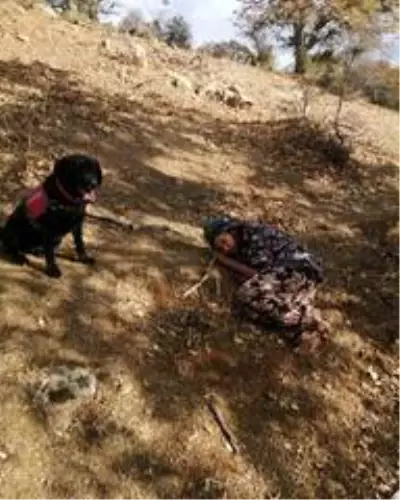 Ayvacık'ta kaybolan 83 yaşındaki kadın jandarma tarafından sağ bulundu Ayvacık'ta kaybolan 83 yaşındaki kadın jandarma tarafından sağ bulundu