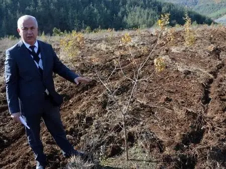 'Kral yiyeceği' trüf mantarı hasadı başlıyor 'Kral yiyeceği' trüf mantarı hasadı başlıyor