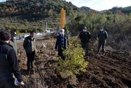 'Kral yiyeceği' trüf mantarı hasadı başlıyor 'Kral yiyeceği' trüf mantarı hasadı başlıyor