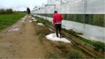 Manavgat'ta şiddetli dolu sera ve bahçeleri vurdu Manavgat'ta şiddetli dolu sera ve bahçeleri vurdu