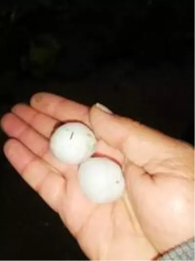 Manavgat'ta şiddetli dolu sera ve bahçeleri vurdu Manavgat'ta şiddetli dolu sera ve bahçeleri vurdu