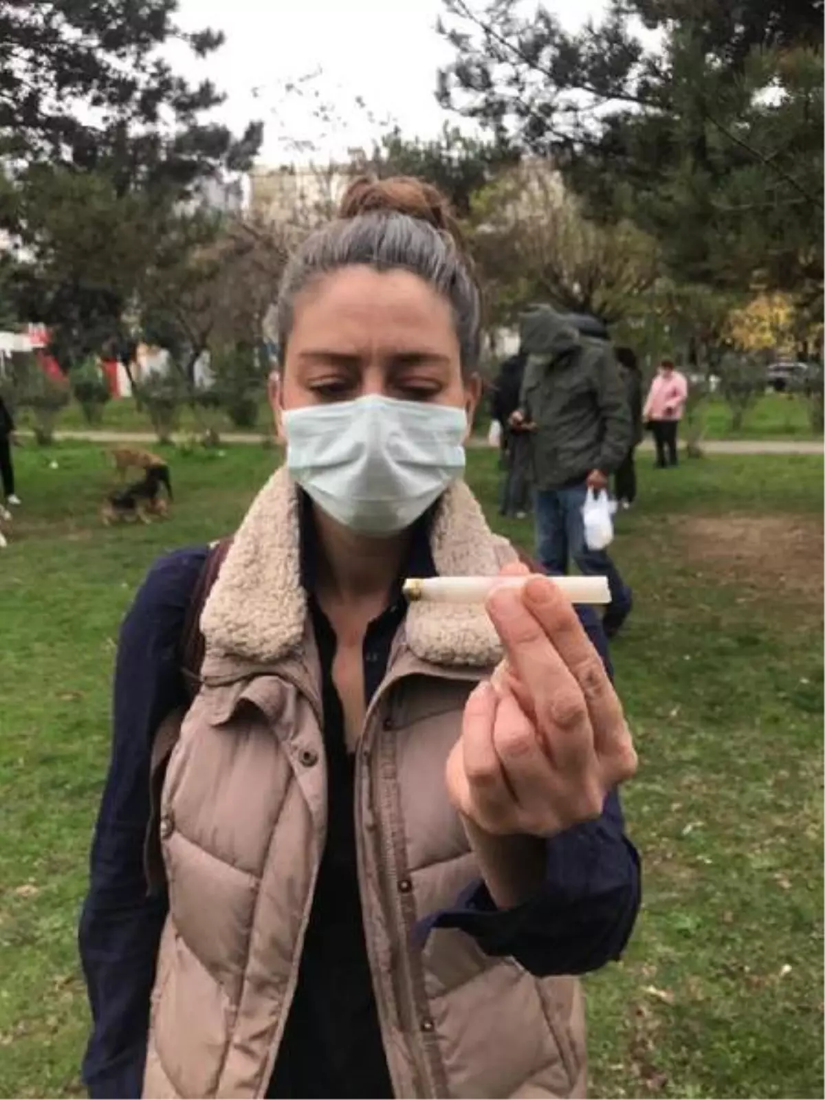 Son dakika haberleri: 3 sokak köpeğinin ölü bulunduğu bölgede uyuşturucu iğne kapsülleri bulundu
