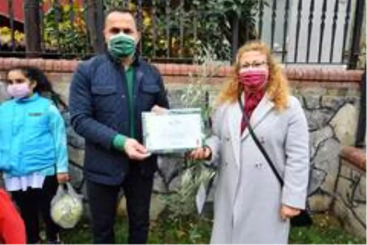 Beyoğlu'nda yeni doğan her çocuk için bir zeytin fidanı dikiliyor