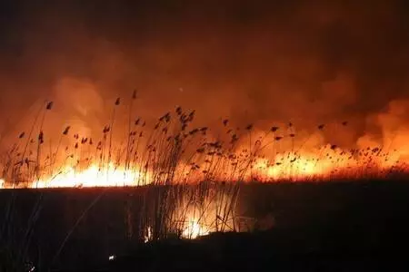 Son dakika: Eber Gölü'nde 1,5 kilometrekarelik kamışlık alan yandı Son dakika: Eber Gölü'nde 1,5 kilometrekarelik kamışlık alan yandı
