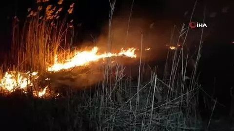 Eber Gölü yine alevlere teslim oldu Eber Gölü yine alevlere teslim oldu