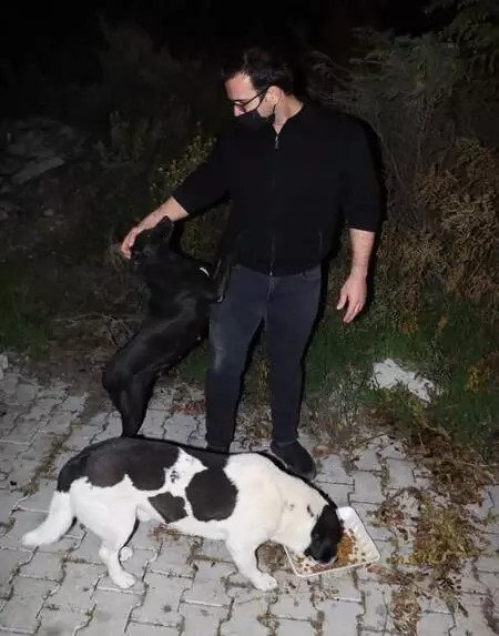 hatay da hayvanseverler kisitlamadan