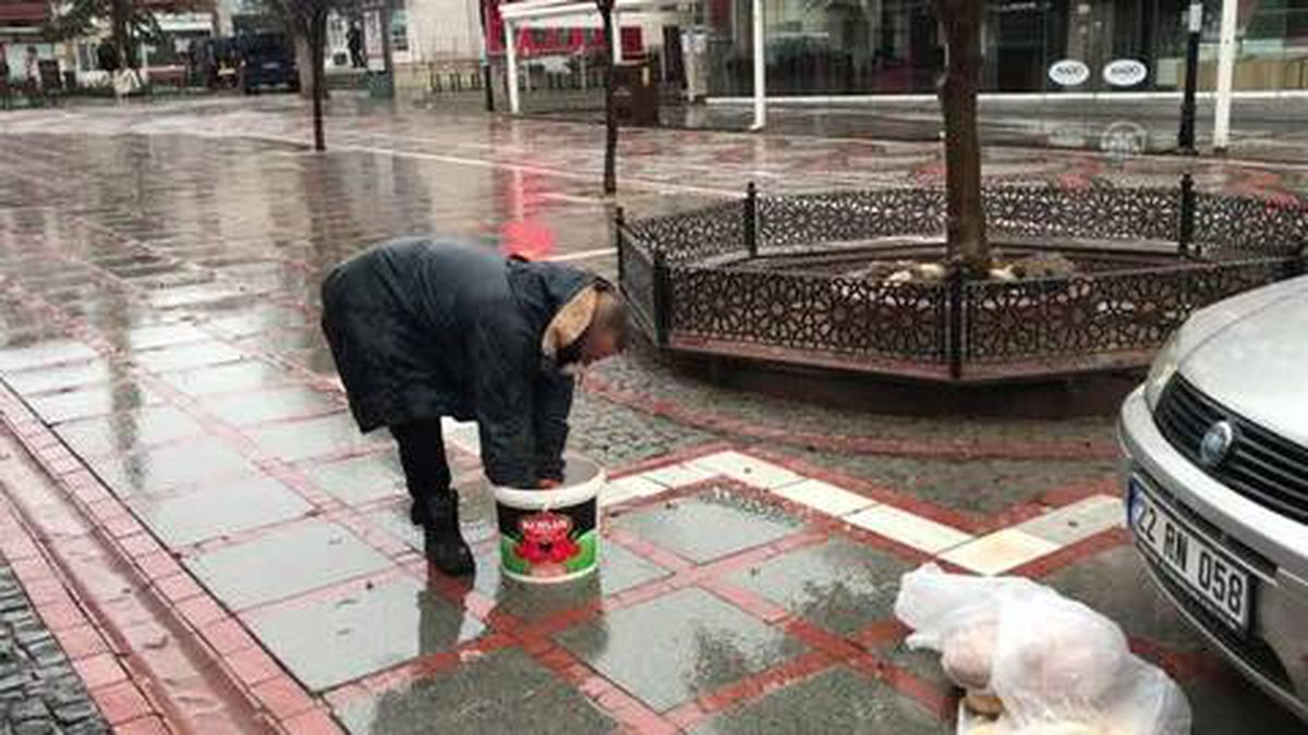 Hayvansever belediye personeli, kısıtlamada meydanlardaki güvercinleri unutmadı
