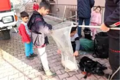 Son dakika haberleri... İtfaiyeden 'Horoz' kurtarma seferberliği Son dakika haberleri... İtfaiyeden 'Horoz' kurtarma seferberliği