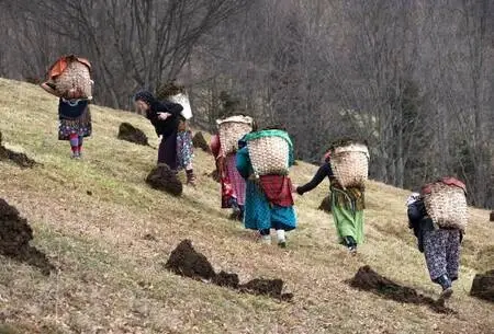 Son dakika haber | Karadeniz'in çalışkan kadınlarını, pandemi de durduramadı Son dakika haber | Karadeniz'in çalışkan kadınlarını, pandemi de durduramadı