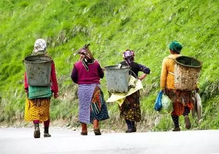Son dakika haber | Karadeniz'in çalışkan kadınlarını, pandemi de durduramadı Son dakika haber | Karadeniz'in çalışkan kadınlarını, pandemi de durduramadı