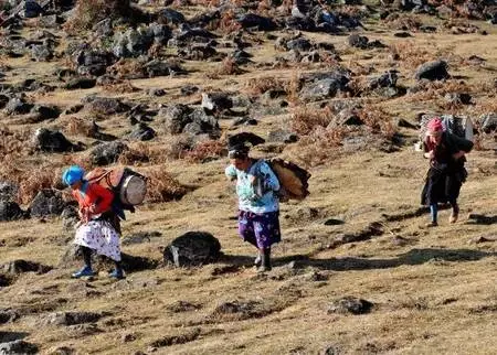 Son dakika haber | Karadeniz'in çalışkan kadınlarını, pandemi de durduramadı Son dakika haber | Karadeniz'in çalışkan kadınlarını, pandemi de durduramadı