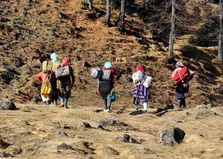 Son dakika haber | Karadeniz'in çalışkan kadınlarını, pandemi de durduramadı Son dakika haber | Karadeniz'in çalışkan kadınlarını, pandemi de durduramadı