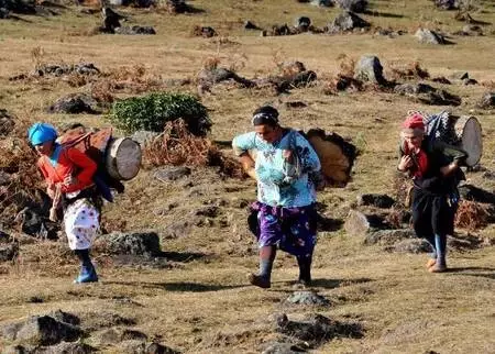 Son dakika haber | Karadeniz'in çalışkan kadınlarını, pandemi de durduramadı Son dakika haber | Karadeniz'in çalışkan kadınlarını, pandemi de durduramadı