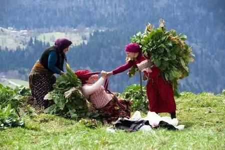 Son dakika haber | Karadeniz'in çalışkan kadınlarını, pandemi de durduramadı Son dakika haber | Karadeniz'in çalışkan kadınlarını, pandemi de durduramadı