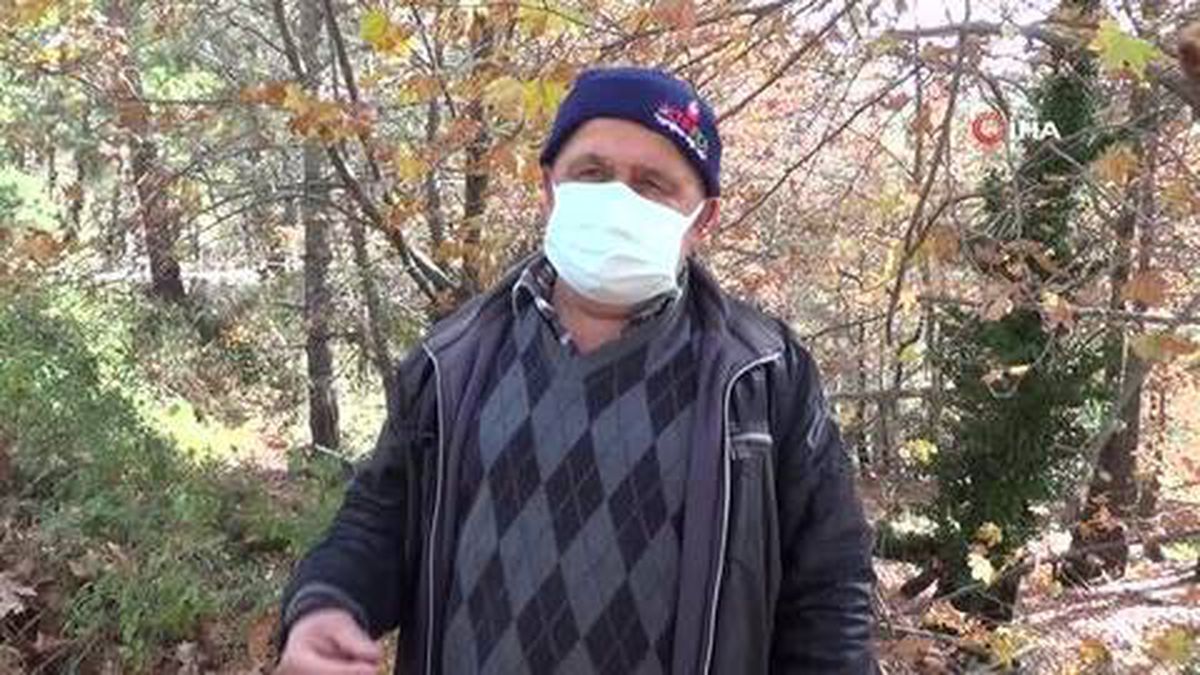 Kısıtlama günlerinde de yaylayı tercih ettiler