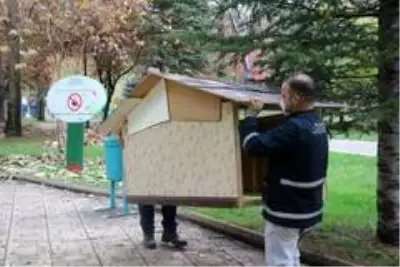 Kullanamadıkları dekorları sokak hayvanları için kulübeye dönüştürdüler Kullanamadıkları dekorları sokak hayvanları için kulübeye dönüştürdüler