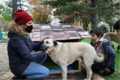 Kullanamadıkları dekorları sokak hayvanları için kulübeye dönüştürdüler Kullanamadıkları dekorları sokak hayvanları için kulübeye dönüştürdüler