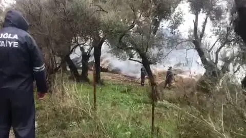 Son dakika haberleri! Milas'ta çıkan yangında 600 saman balyası zarar gördü Son dakika haberleri! Milas'ta çıkan yangında 600 saman balyası zarar gördü